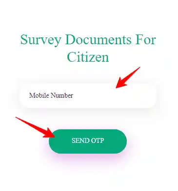 Survey Document for Citizen